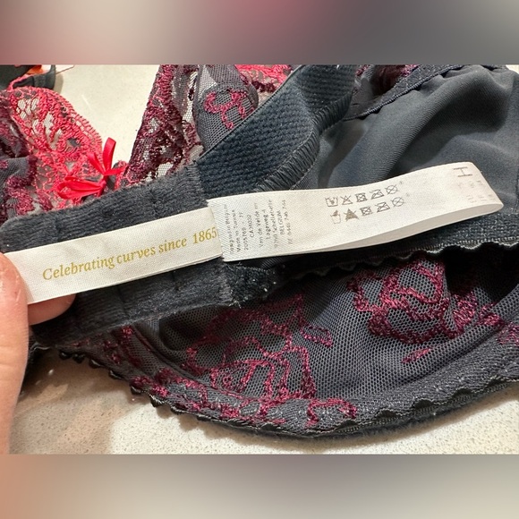 Prima Donna lace full coverage underwire lace embroidered bra 34 H (UK) - Picture 5 of 14